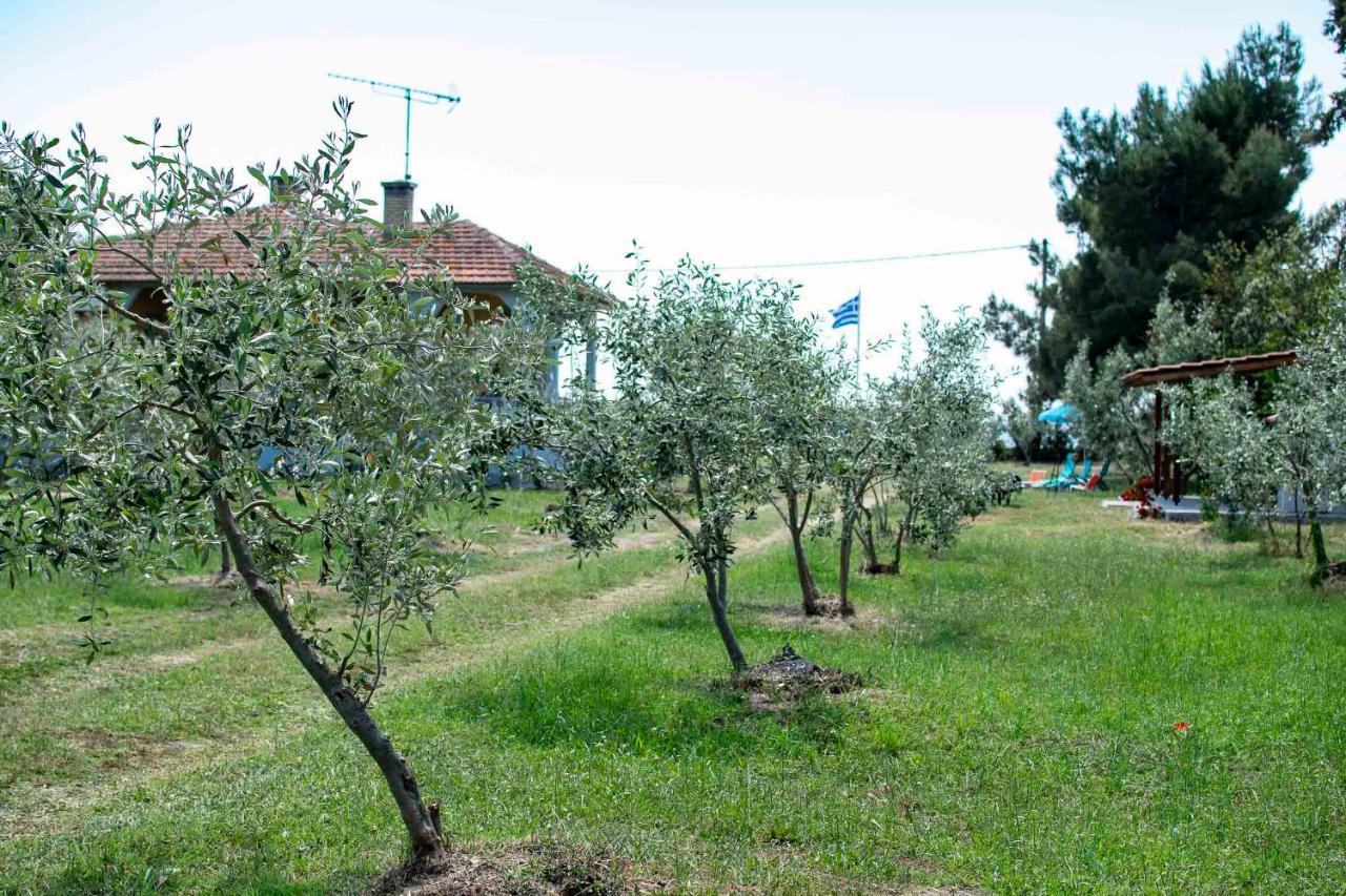 Clio Beach House By Travel Pro Services - Metochi Halkidiki Sozopoli Luaran gambar